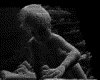 IMG289.GIF.gst.iff