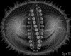 IMG287.GIF.gst.iff