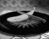 IMG279.GIF.gst.iff