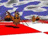 IMG267.GIF.cst.iff