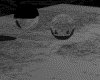 IMG263.GIF.gst.iff