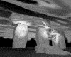 IMG258.GIF.gst.iff