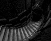 IMG257.GIF.gst.iff