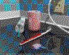IMG254.GIF.cst.iff