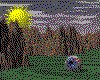 IMG252.GIF.cst.iff