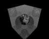 IMG250.GIF.gst.iff