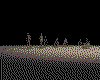 IMG249.GIF.cst.iff