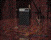IMG248.GIF.cst.iff