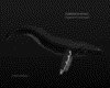IMG246.GIF.gst.iff