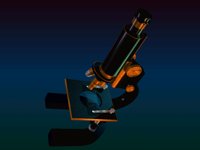 IMG241.GIF