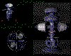 IMG240.GIF.cst.iff