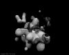 IMG239.GIF.gst.iff