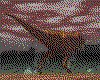 IMG238.GIF.cst.iff