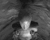 IMG235.GIF.gst.iff