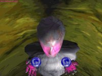 IMG235.GIF