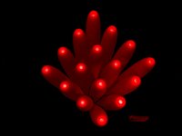 IMG221.GIF
