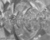 IMG220.GIF.gst.iff