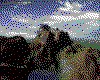 IMG212.GIF.cst.iff