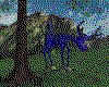 IMG206.GIF.cst.iff