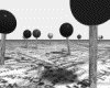 IMG202.GIF.gst.iff
