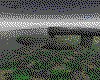 IMG194.GIF.cst.iff