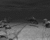 IMG193.GIF.gst.iff