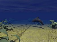IMG193.GIF