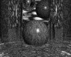 IMG191.GIF.gst.iff