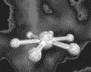IMG188.GIF.gst.iff