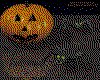 IMG186.GIF.cst.iff