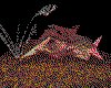 IMG185.GIF.cst.iff