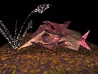 IMG185.GIF