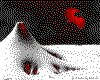 IMG171.GIF.cst.iff