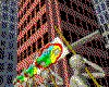 IMG169.GIF.cst.iff