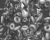 IMG160.GIF.gst.iff