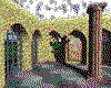 IMG146.GIF.cst.iff