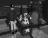 IMG145.GIF.gst.iff