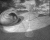 IMG140.GIF.gst.iff
