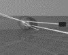 IMG139.GIF.gst.iff