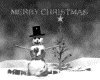 IMG138.GIF.gst.iff