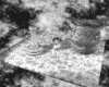 IMG132.GIF.gst.iff