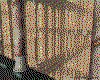 IMG128.GIF.cst.iff