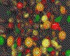IMG121.GIF.cst.iff