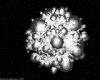 IMG117.GIF.gst.iff