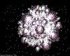IMG117.GIF.cst.iff
