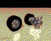 IMG116.GIF.cst.iff