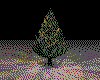 IMG113.GIF.cst.iff