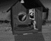 IMG110.GIF.gst.iff