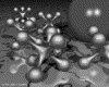 IMG099.GIF.gst.iff
