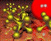 IMG099.GIF.cst.iff